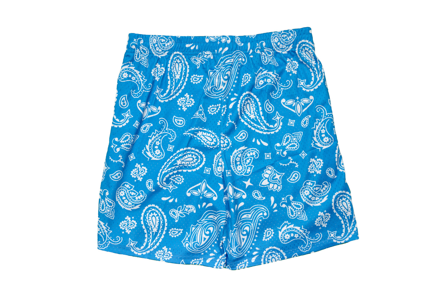 FF Bandanna Mesh Shorts - Blue