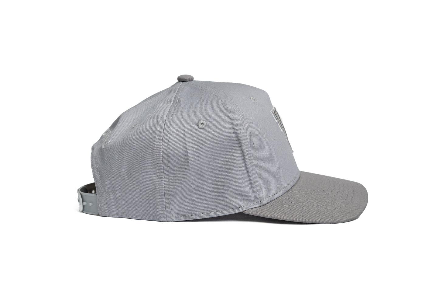 FF Snapback - Gray/Char Gray