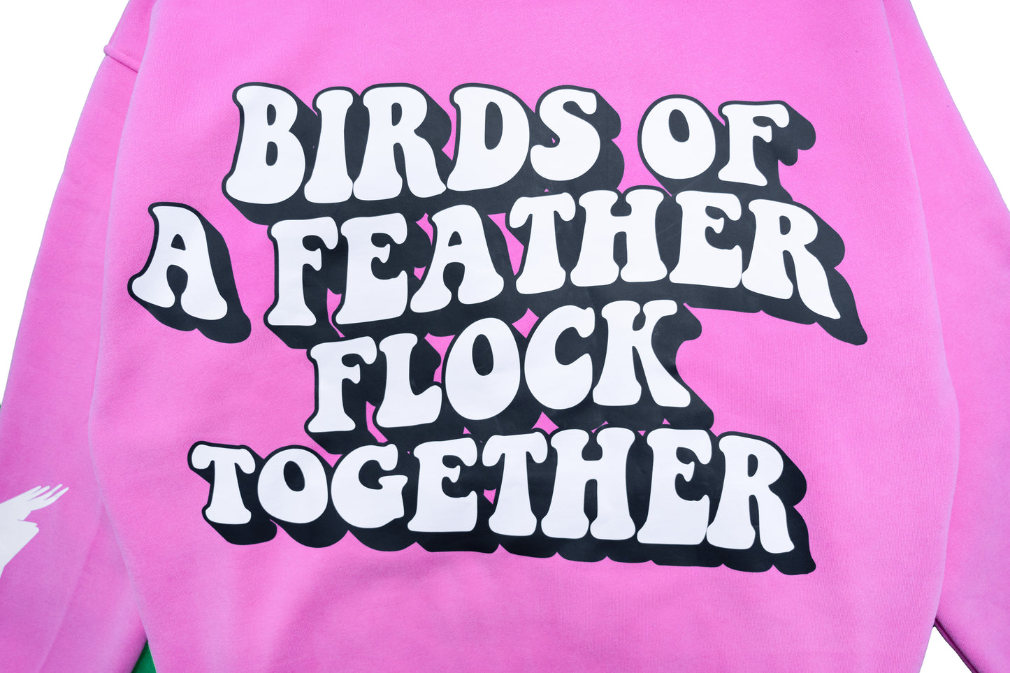 "Birds Of A Feather" Hoodie - Pink