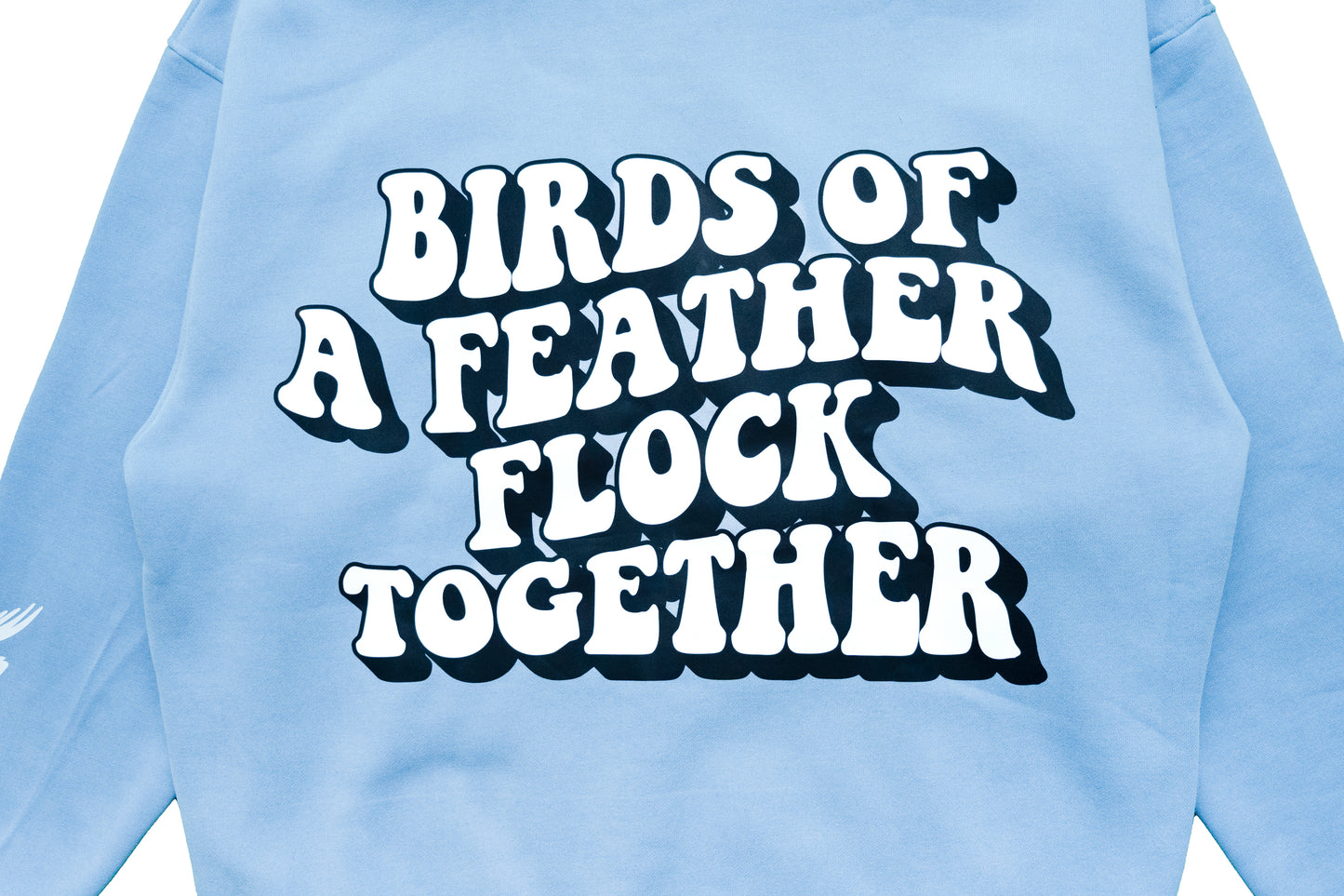 "Birds Of A Feather" Hoodie - University Blue