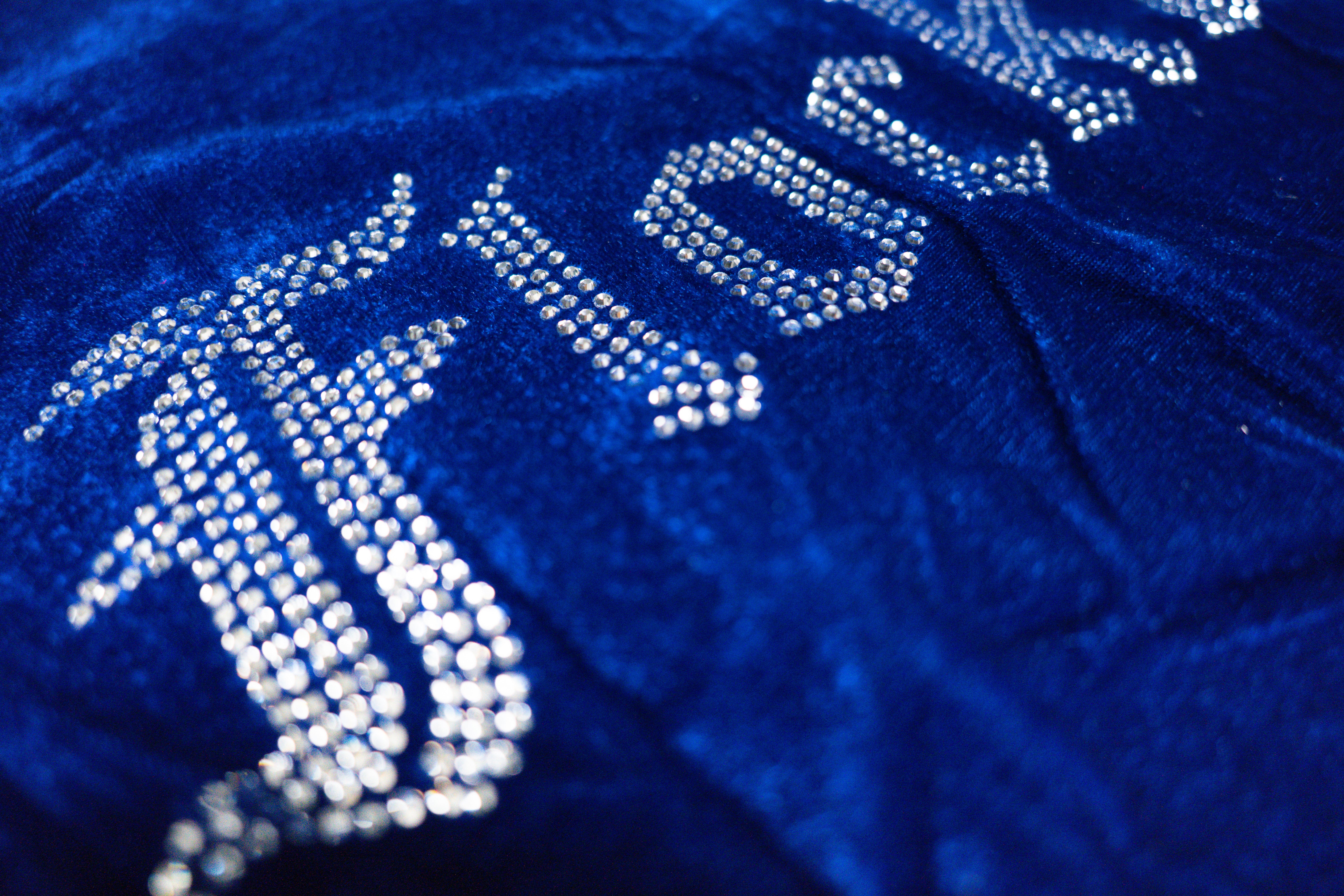 FF Velour Hoodie - Blue