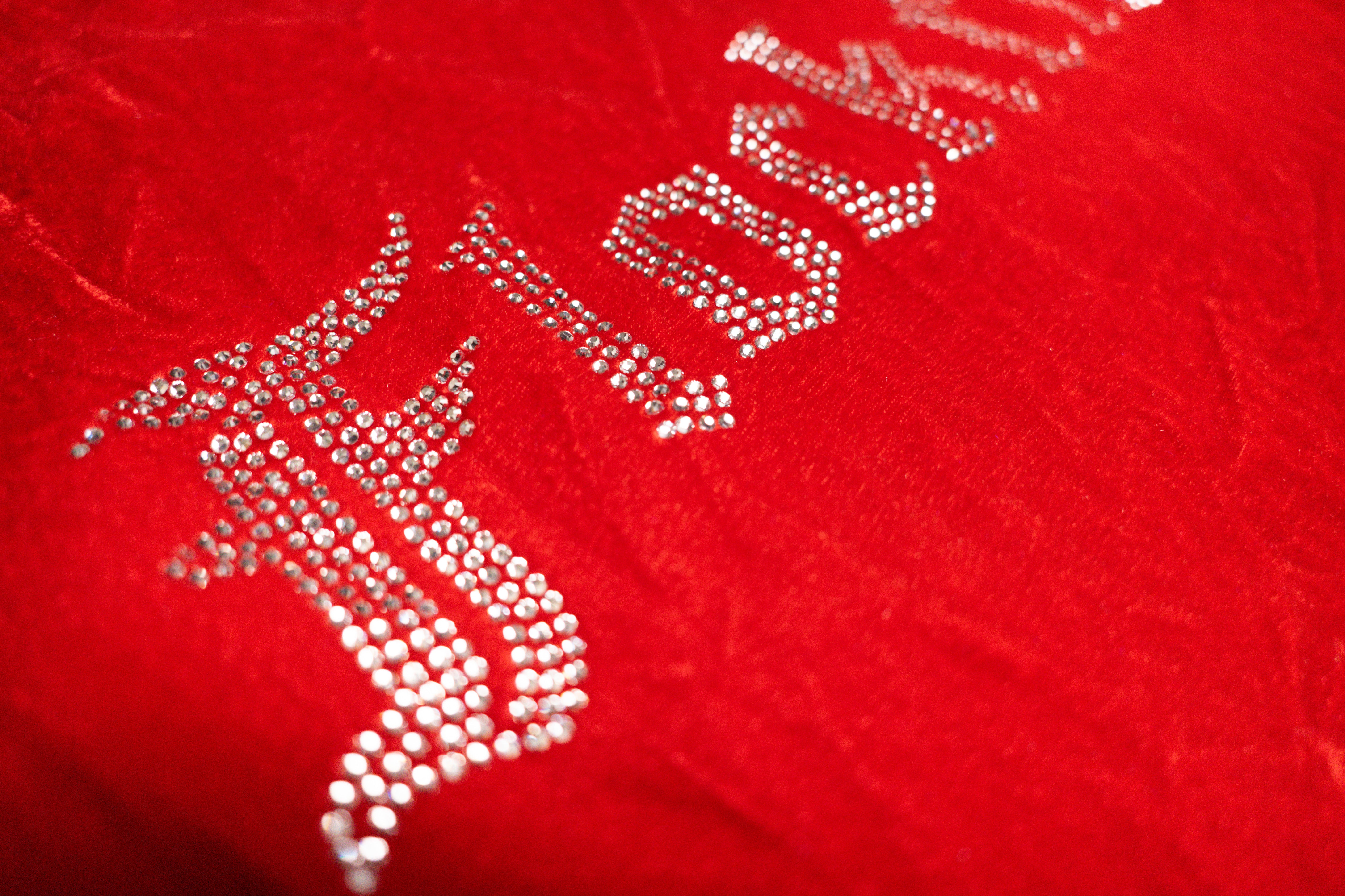 FF Velour Hoodie - Red